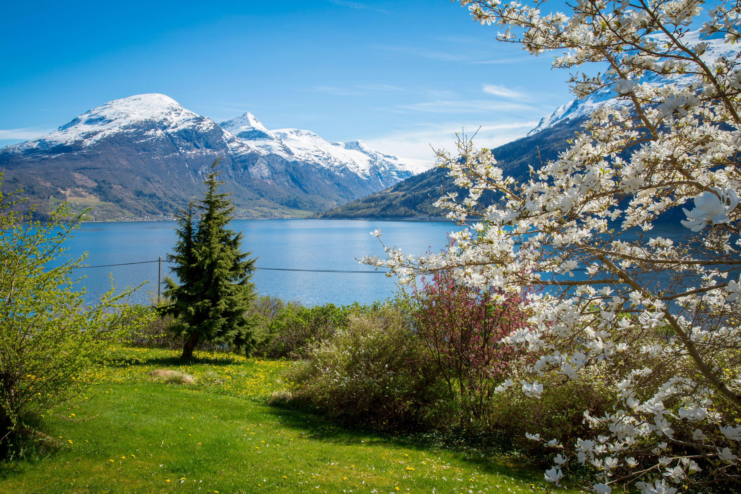 197 nordfjord.webp